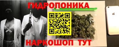 мдма Кингисепп