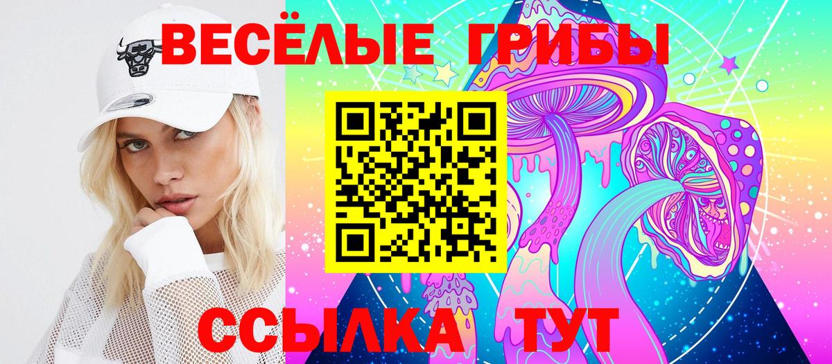 Псилоцибиновые грибы Psilocybine cubensis  Вход с VPN  Галлюциногенные грибы мухоморы  Котельники 