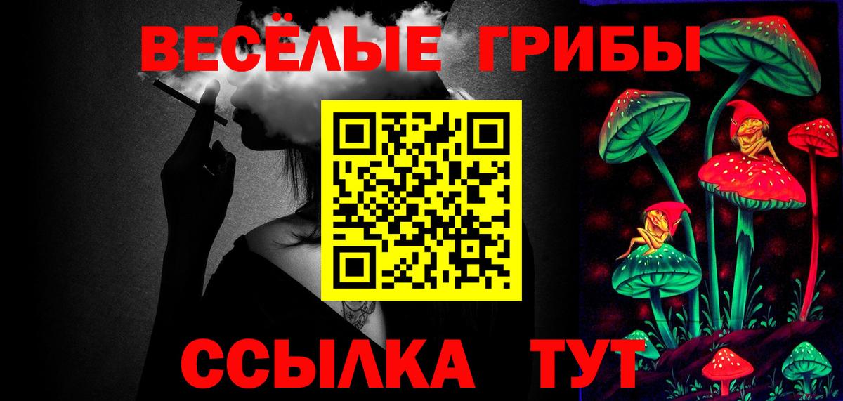 Галлюциногенные грибы мицелий Котельники